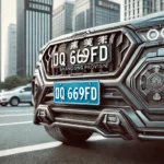 鲁q 669fd vehicle with details and surroundings