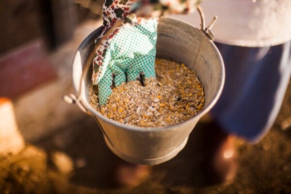 Seed Bank In The USA